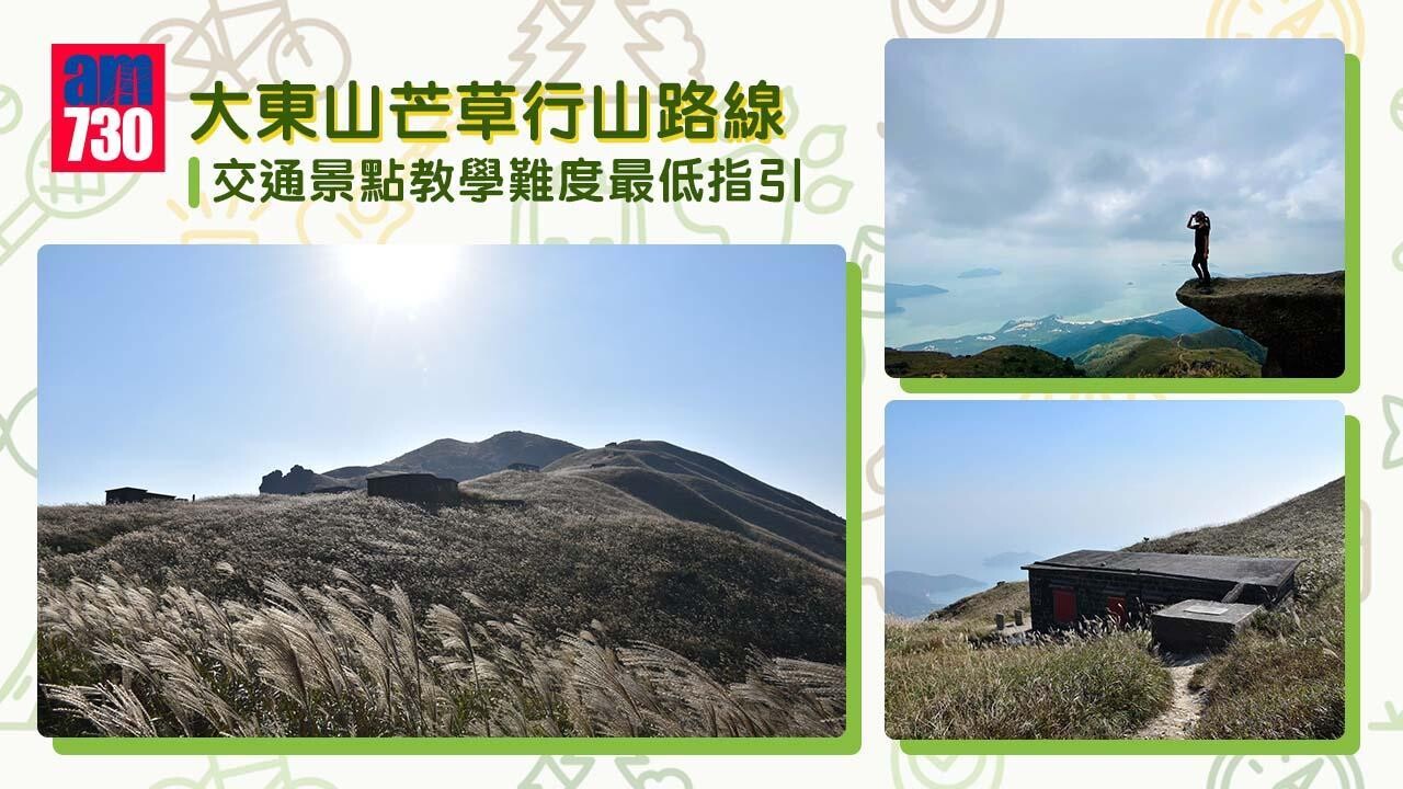 東洋山位於大嶼山,是著名芒草行山路線(am730製圖)